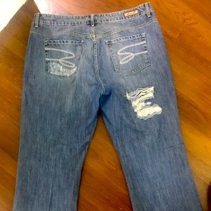 Plus Size Women Distressed 7 Jeans